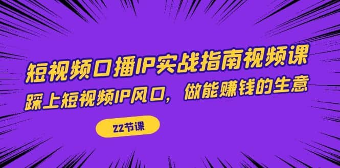 （7202期）短视频口播IP实战指南视频课，踩上短视频IP风口，做能赚钱的生意（22节课）-佛系网创