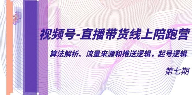 （7220期）视频号-直播带货线上陪跑营第7期：算法解析、流量来源和推送逻辑，起号逻辑-佛系网创