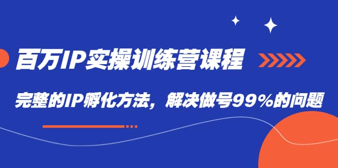 （7354期）百万IP实战训练营课程，完整的IP孵化方法，解决做号99%的问题-佛系网创