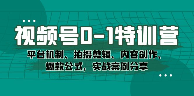 （7373期）视频号0-1特训营：平台机制、拍摄剪辑、内容创作、爆款公式，实战案例分享-佛系网创