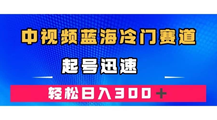 （7449期）中视频蓝海冷门赛道，韩国视频奇闻解说，起号迅速，日入300＋-佛系网创