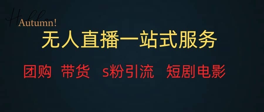 （7654期）无人直播全套服务，变现稳定-佛系网创