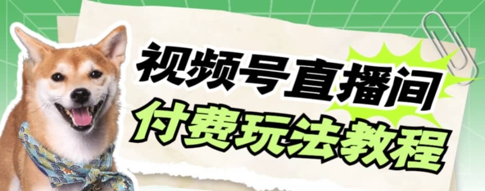 （7660期）视频号美女付费无人直播，轻松日入500+【详细玩法教程】-佛系网创