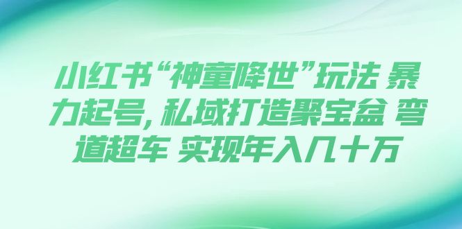 （7673期）小红书“神童降世”玩法 暴力起号,私域打造聚宝盆 弯道超车 实现年入几十万-佛系网创