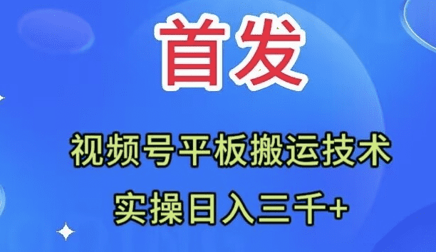 （7843期）全网首发：视频号平板搬运技术，实操日入三千＋-佛系网创