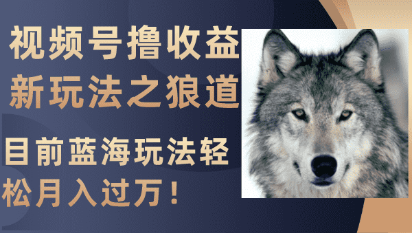 （8042期）视频号撸收益新玩法之狼道，目前蓝海玩法轻松月入过万！-佛系网创