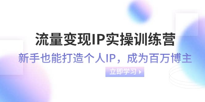 （8134期）流量变现-IP实操训练营：新手也能打造个人IP，成为百万 博主（46节课）-佛系网创