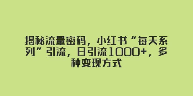 （8179期）揭秘流量密码，小红书“每天系列”引流，日引流1000+，多种变现方式-佛系网创