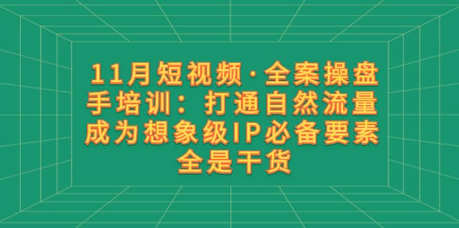 （8182期）11月短视频·全案操盘手培训：打通自然流量 成为想象级IP必备要素 全是干货-佛系网创