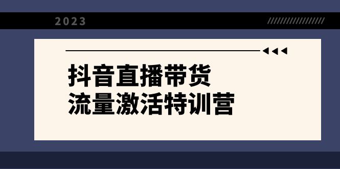 （8185期）抖音直播带货-流量激活特训营，入行新手小白主播必学（21节课+资料）-佛系网创