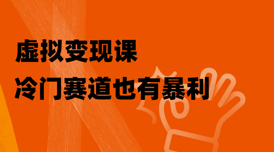 （8219期）虚拟变现课，冷门赛道也有暴利，手把手教你玩转冷门私域-佛系网创