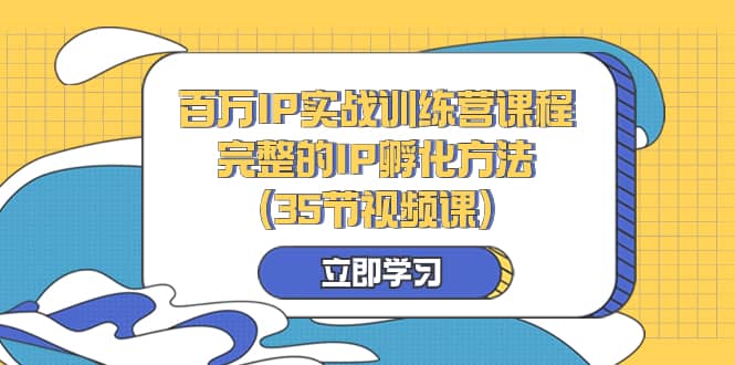 （8243期）百万IP实战训练营课程，完整的IP孵化方法（35节视频课）-佛系网创