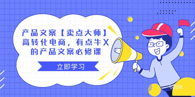 （8244期）产品文案【卖点 大师】高转化电商，有点牛X的 产品文案必修课-佛系网创