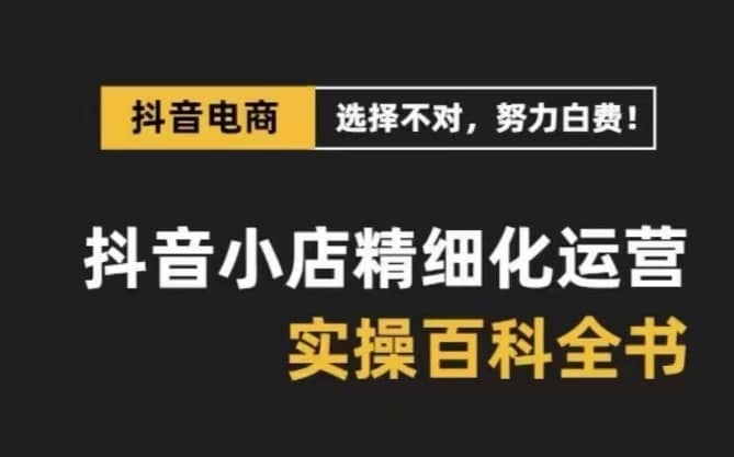 （8380期）抖音小店 精细化运营-百科全书，保姆级运营实战讲解-佛系网创