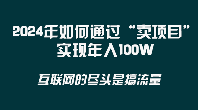 （8382期） 2024年如何通过“卖项目”实现年入100W-佛系网创
