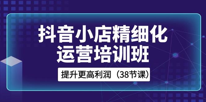 （8391期）抖音小店-精细化运营培训班，提升更高利润（38节课）-佛系网创