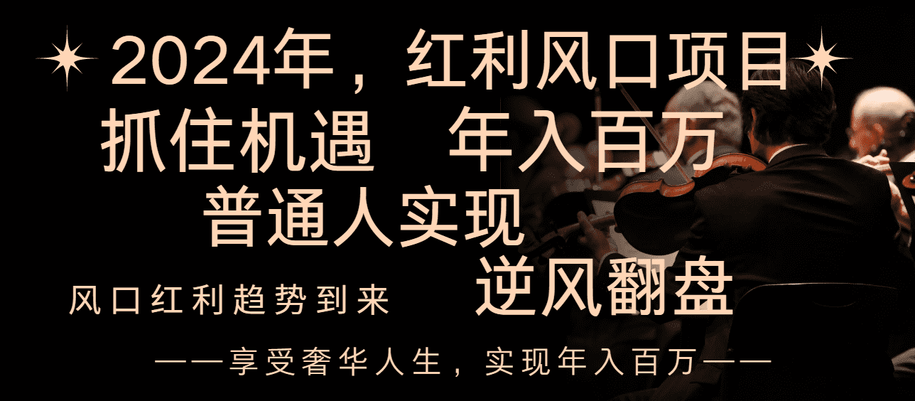 （8418期）2024红利风口项目来袭，享受第一波红利，逆风翻盘普通人也能实现，年入百万-佛系网创