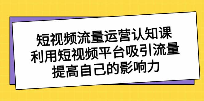 （8428期）短视频流量-运营认知课，利用短视频平台吸引流量，提高自己的影响力-佛系网创
