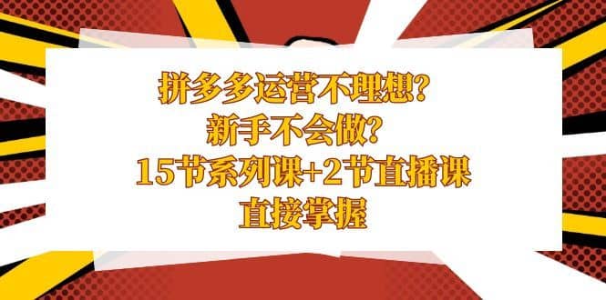 拼多多运营不理想？新手不会做？15节系列课+2节直播课学会直接掌握-佛系网创