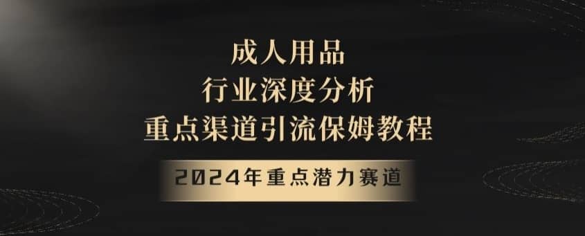 2024年重点潜力赛道，成人用品行业深度分析，重点渠道引流保姆教程【揭秘】-佛系网创
