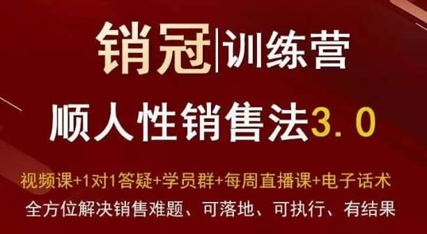 ?爆款！销冠训练营3.0之顺人性销售法，全方位解决销售难题、可落地、可执行、有结果-佛系网创