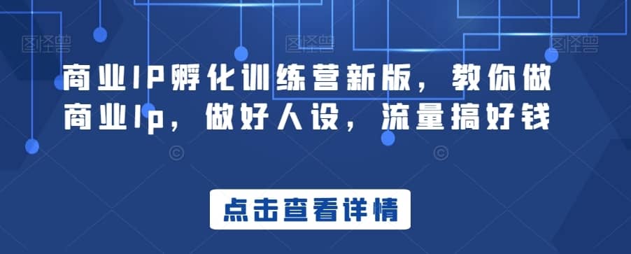 商业IP孵化训练营新版，教你做商业Ip，做好人设，流量搞好钱-佛系网创
