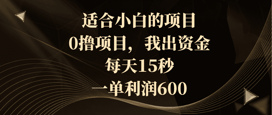 （8571期）适合小白的项目，0撸项目，我出资金，每天15秒，一单利润600-佛系网创