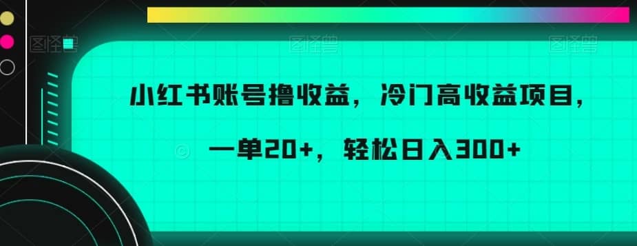 小红书账号撸收益，冷门高收益项目，一单20+，轻松日入300+-佛系网创