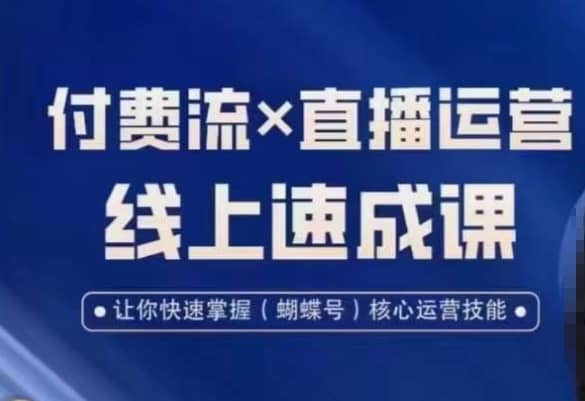 视频号付费流实操课程，付费流??直播运营速成课，让你快速掌握视频号核心运营技能-佛系网创