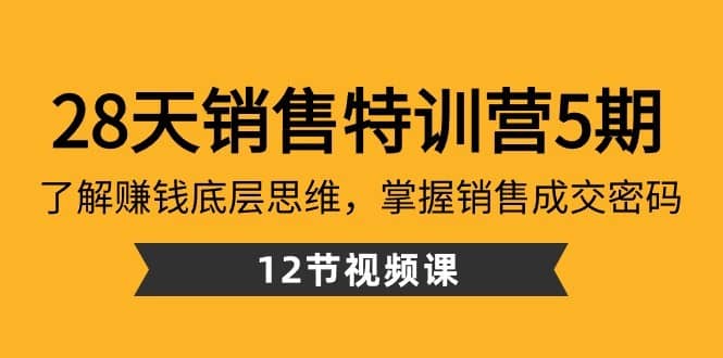 28天销售特训营5期：了解赚钱底层思维，掌握销售成交密码（12节课）-佛系网创