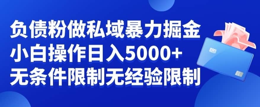 负债粉私域暴力掘金，小白操作入5000，无经验限制，无条件限制-佛系网创