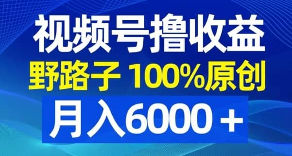 视频号野路子撸收益，100%原创，条条爆款，月入6000＋-佛系网创