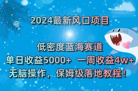 2024最新风口项目，低密度蓝海赛道，单日收益5000+，一周收益4w+！-佛系网创