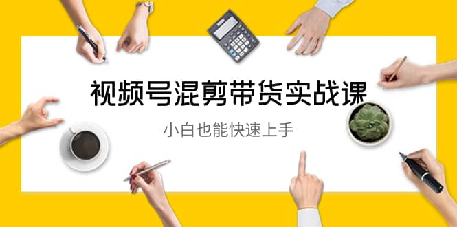 （8686期）视频号-混剪带货实战课，小白也能快速上手（10节课）-佛系网创