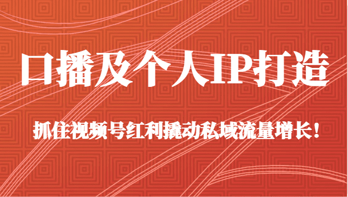 口播及个人IP打造，抓住视频号红利撬动私域流量增长！（45节课）-佛系网创