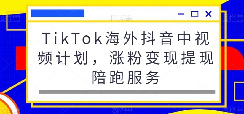 TikTok海外抖音中视频计划，涨粉变现提现陪跑服务-佛系网创