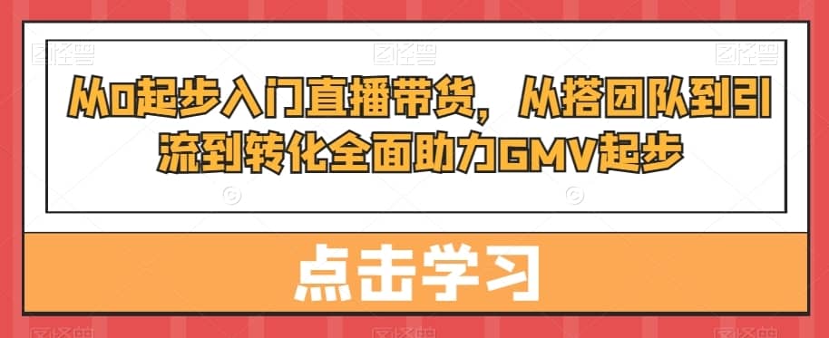 从0起步入门直播带货，?从搭团队到引流到转化全面助力GMV起步-佛系网创