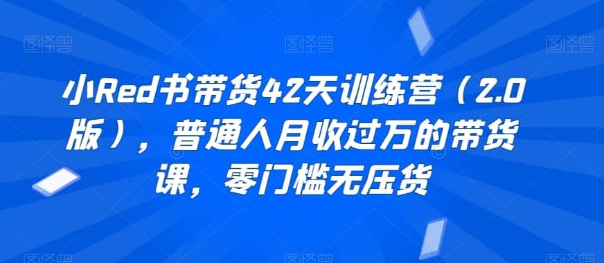 小Red书带货42天训练营（2.0版），普通人月收过万的带货课，零门槛无压货-佛系网创