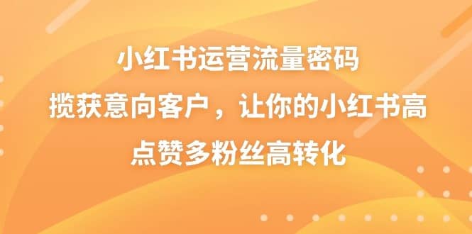 小红书运营流量密码，揽获意向客户，让你的小红书高点赞多粉丝高转化-佛系网创