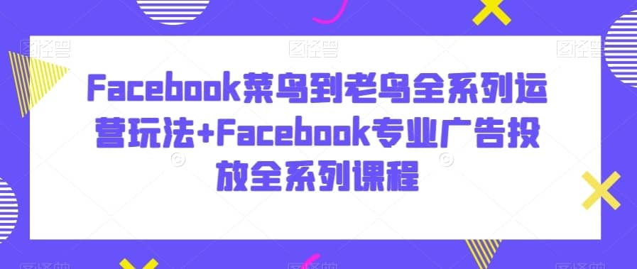 Facebook菜鸟到老鸟全系列运营玩法+Facebook专业广告投放全系列课程-佛系网创