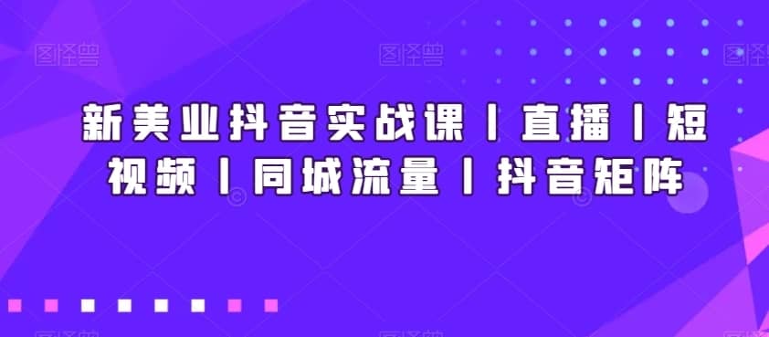 新美业抖音实战课丨直播丨短视频丨同城流量丨抖音矩阵-佛系网创