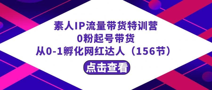 繁星·计划素人IP流量带货特训营：0粉起号带货 从0-1孵化网红达人（156节）-佛系网创