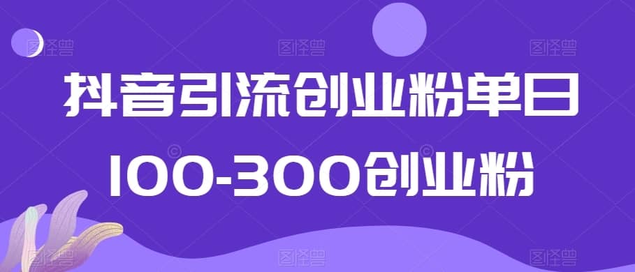 抖音引流创业粉单日100-300创业粉-佛系网创