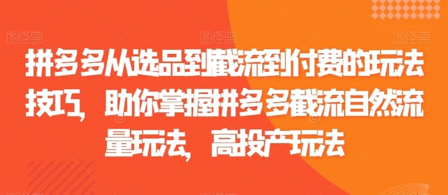 拼多多从选品到截流到付费的玩法技巧，助你掌握拼多多截流自然流量玩法，高投产玩法-佛系网创