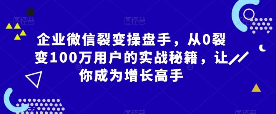 企业微信裂变操盘手，从0裂变100万用户的实战秘籍，让你成为增长高手-佛系网创