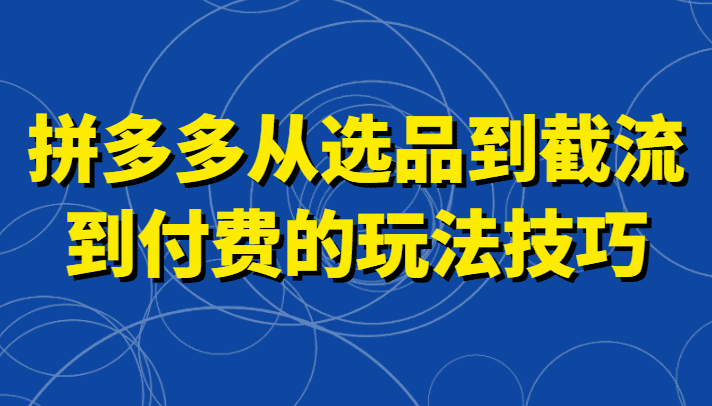 拼多多从选品到截流到付费的玩法技巧，助你掌握截流自然流量，高投产，强付费快速启动-佛系网创