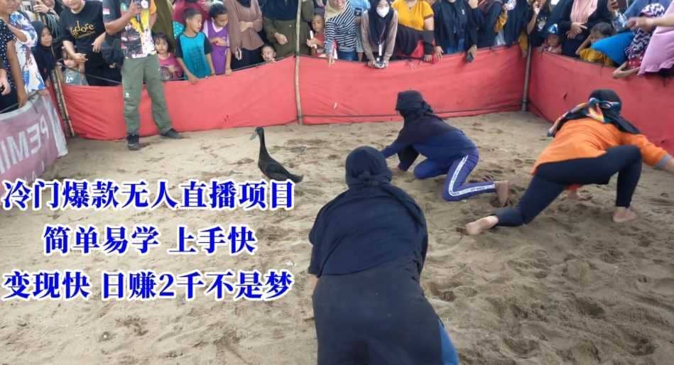 冷门爆款无人直播项目，简单易学上手快，变现快日赚2千不是梦【揭秘】-佛系网创