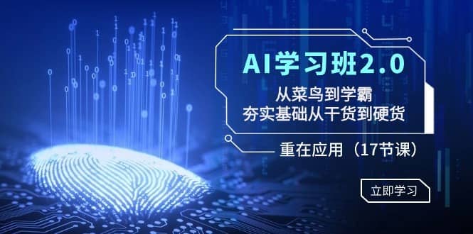 AI学习班2.0：从菜鸟到学霸，夯实基础从干货到硬货，重在应用（17节课）-佛系网创