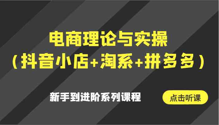 电商理论与实操（抖音小店+淘系+拼多多）新手到进阶系列课程-佛系网创