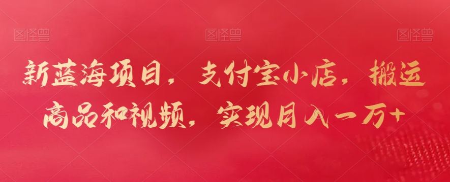 新蓝海项目，支付宝小店，搬运商品和视频，实现月入一万+【揭秘】-佛系网创